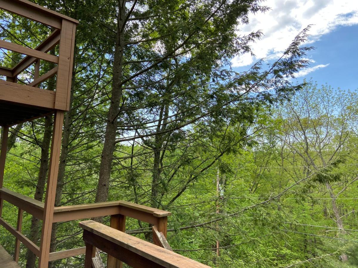 Saw Creek Cabin - Regent Hilltop Bushkill Exterior photo